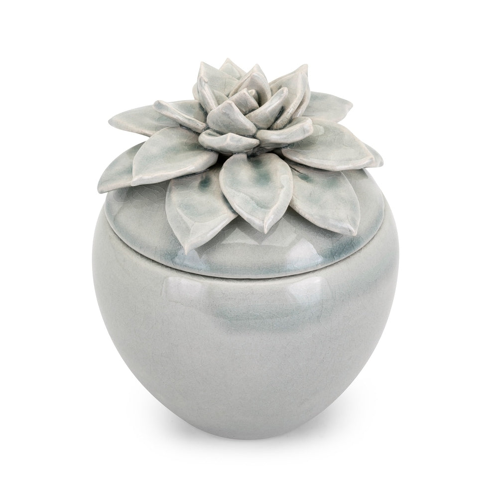 Cici Succulent Jar