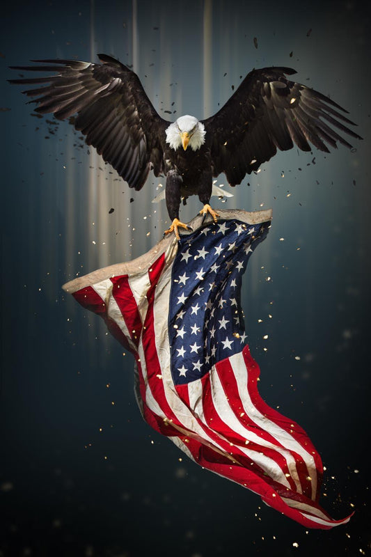 Eagle Flag