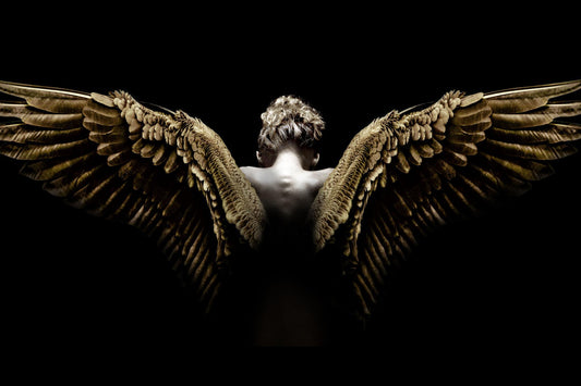 Wing Spread